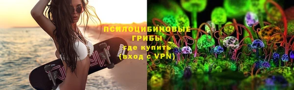 стаф Белоозёрский