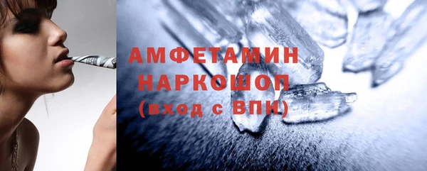 индика Белокуриха