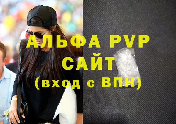 индика Белокуриха