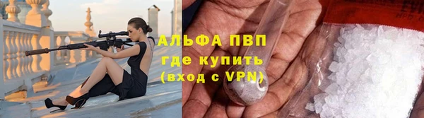spice Беломорск