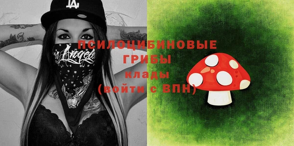 индика Белокуриха