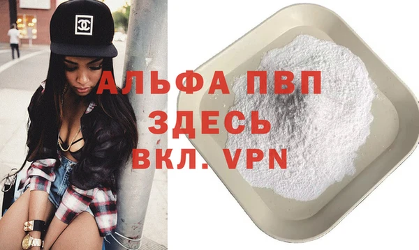 индика Белокуриха
