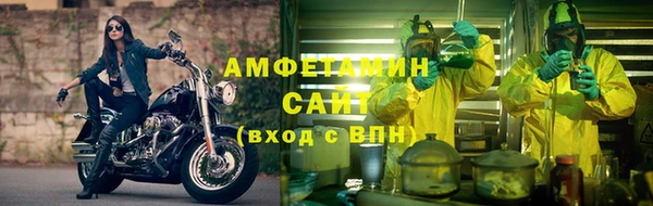 индика Белокуриха