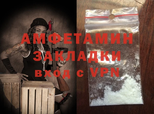 индика Белокуриха
