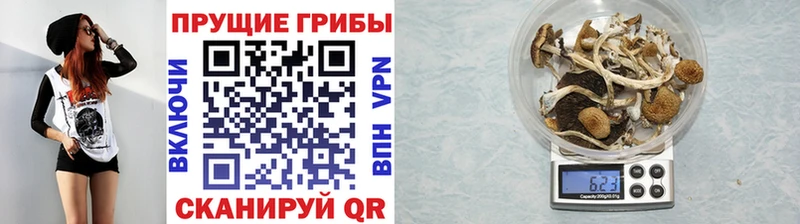 Галлюциногенные грибы Cubensis  Комсомольск 